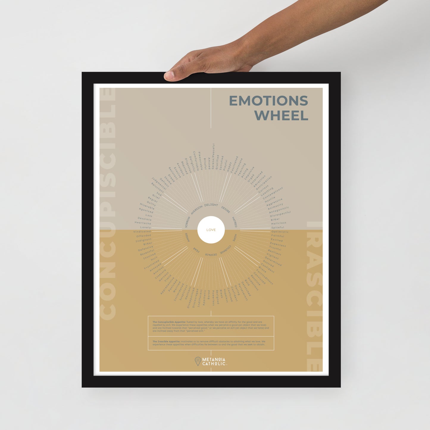 The Emotions Wheel - Framed Poster