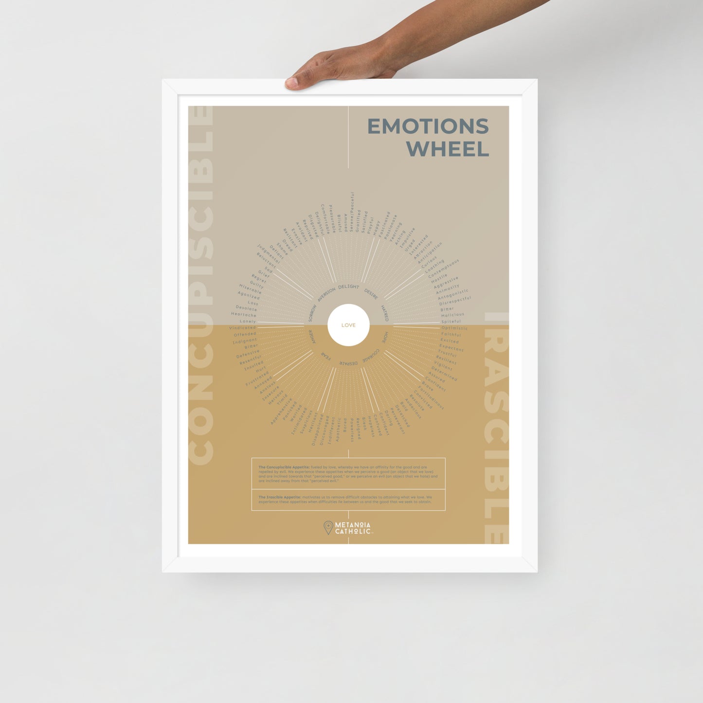 The Emotions Wheel - Framed Poster