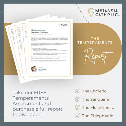 The Temperaments Report - Digital Download